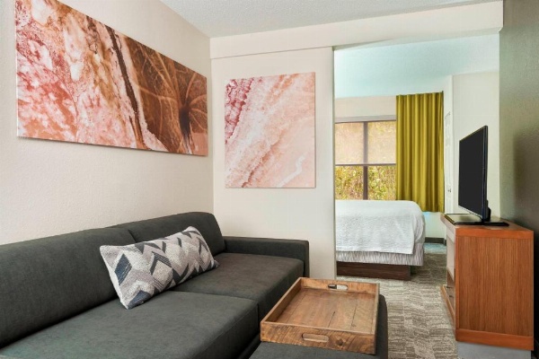 SpringHill Suites by Marriott Asheville image 16