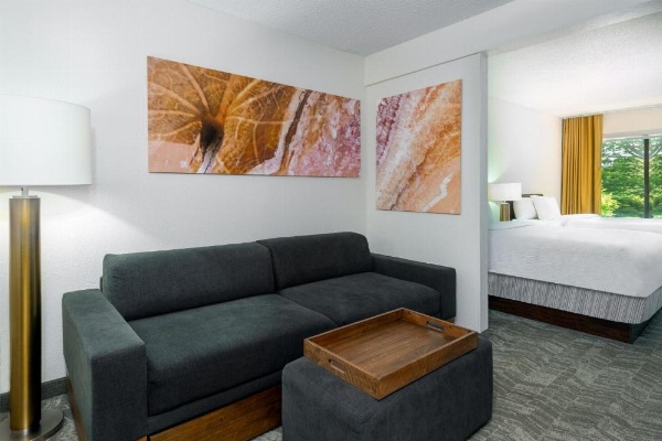 SpringHill Suites by Marriott Asheville image 19
