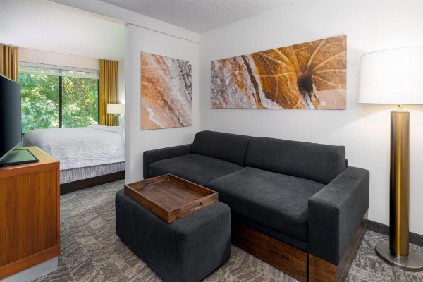 SpringHill Suites by Marriott Asheville image 22